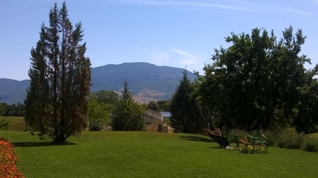 Agroturism Stara Stala Hotel Borut Exterior photo