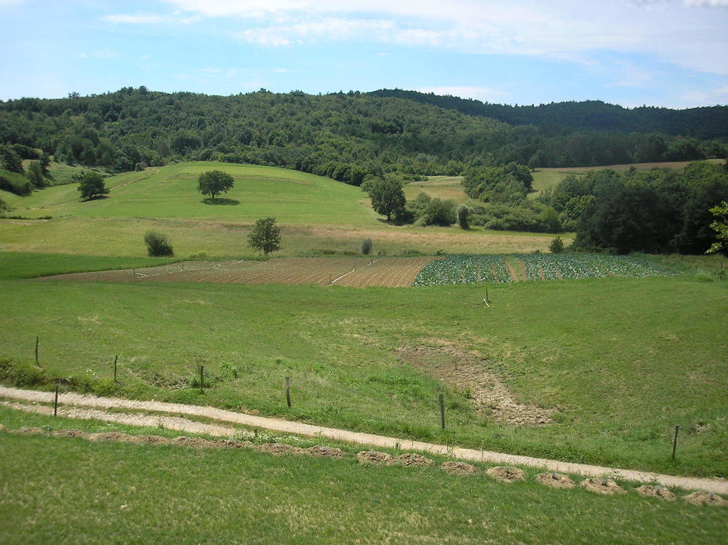 Agroturism Stara Stala Hotel Borut Exterior photo