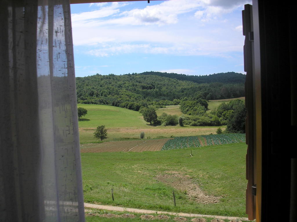 Agroturism Stara Stala Hotel Borut Room photo