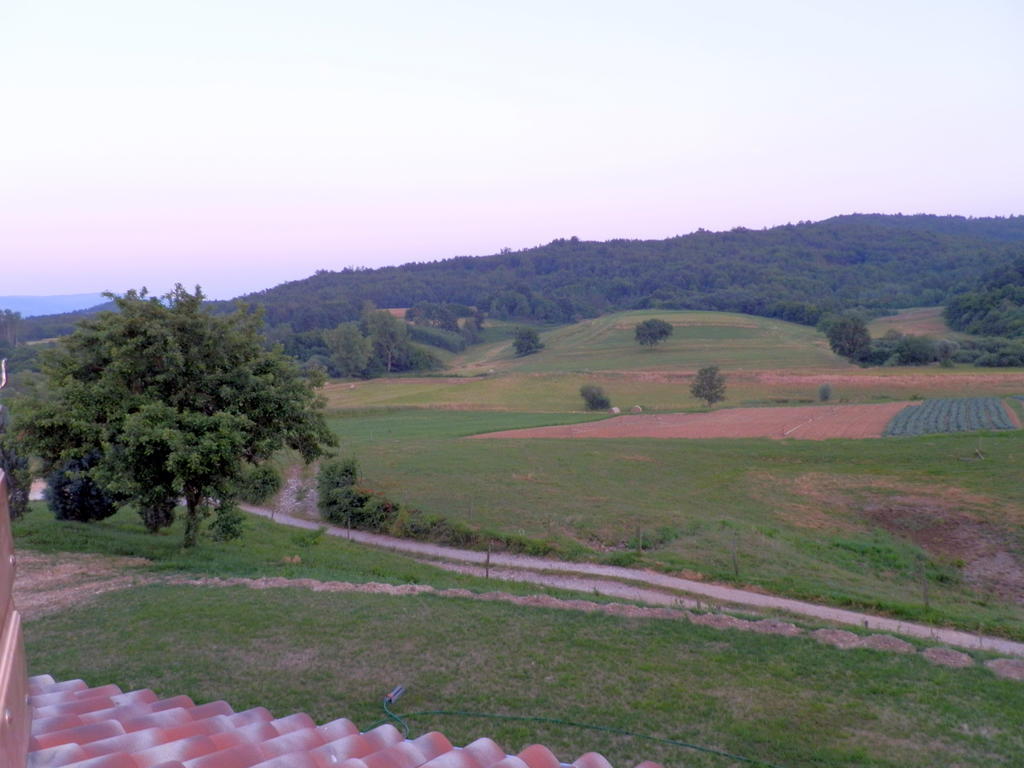 Agroturism Stara Stala Hotel Borut Room photo