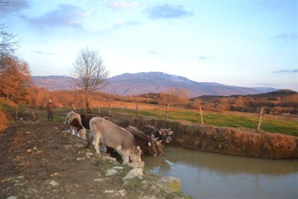 Agroturism Stara Stala Hotel Borut Exterior photo